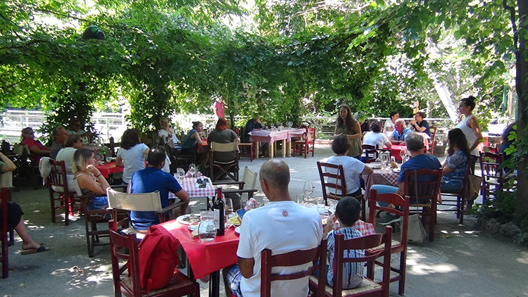 Η ταβέρνα «του Αντώνη και της Πόλυς», The tavern of "Antonis and Polys"